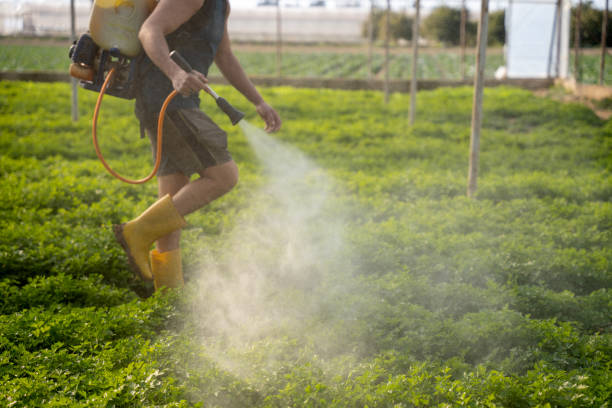 Best Affordable Pest Control Services  in Parlier, CA