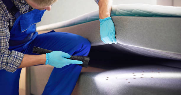 Best Pest Control Near Me  in Parlier, CA